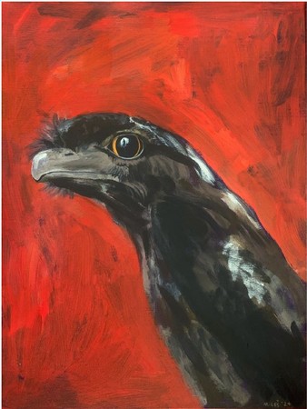 Birds of Bosworth SALA Closing Event