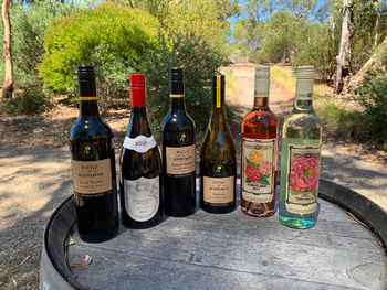 Bosworth Wines Vegan Friendly Six Pack
